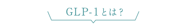 GLP-１とは？