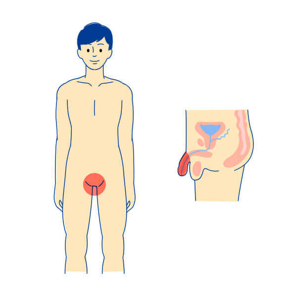 オンライン診療の予約はこちら