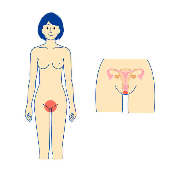 オンライン診療の予約はこちら