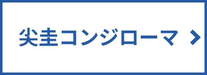 尖圭コンジローマ