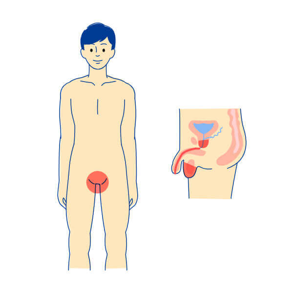 男性の主な症状