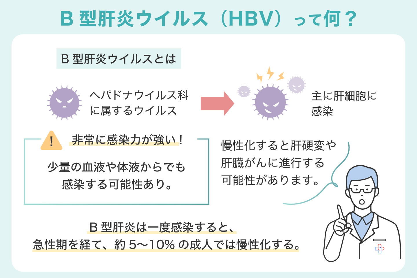 B型肝炎ウイルス（HBV）って何？