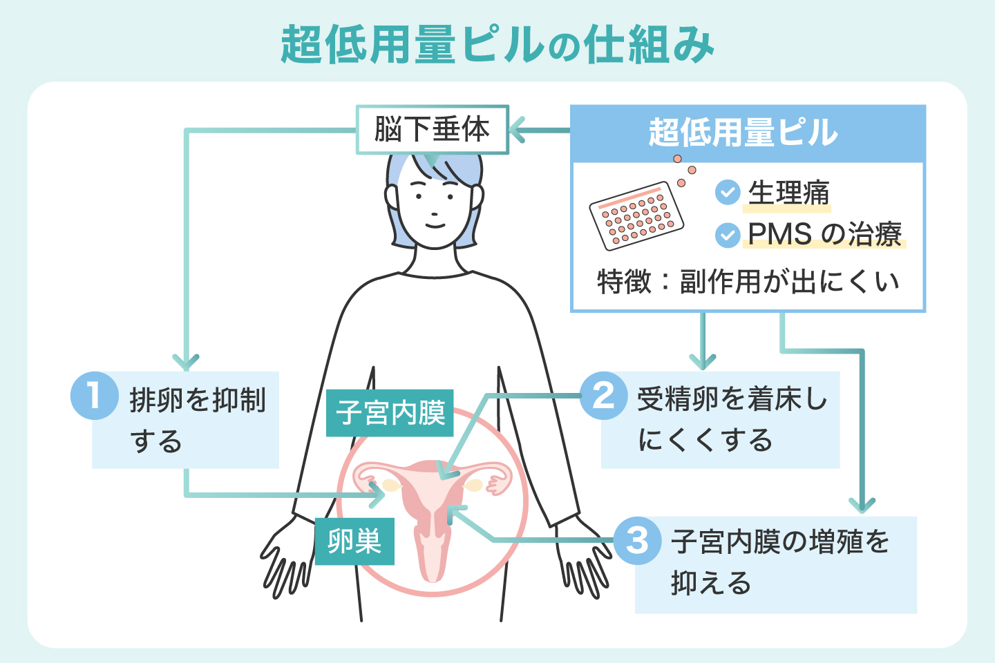 超低用量ピルの仕組み