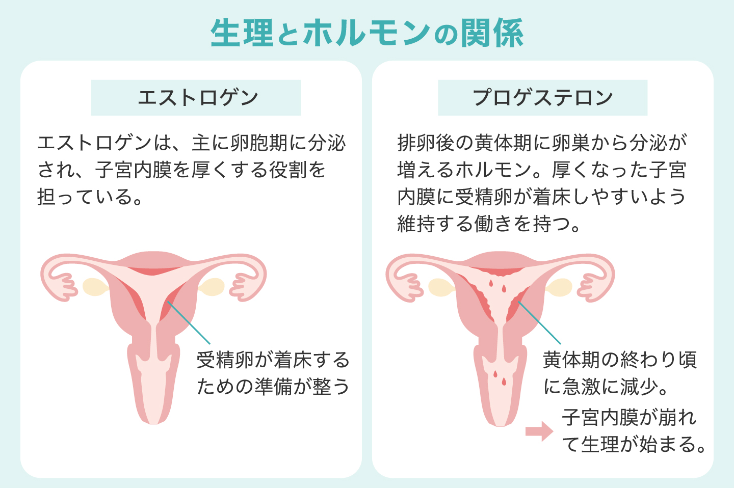 生理とホルモンの関係