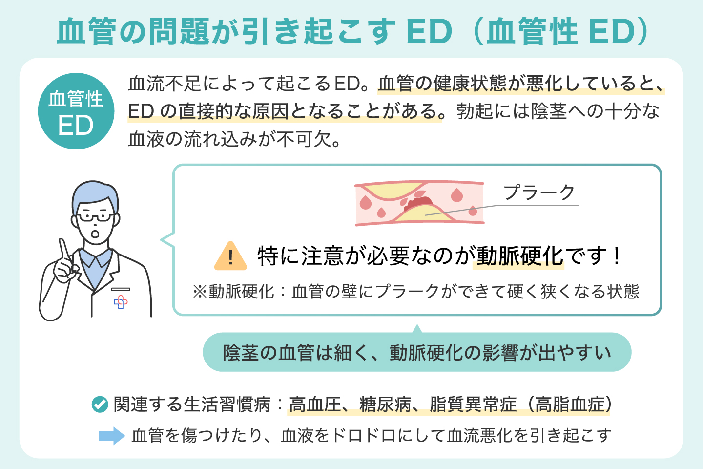 血管の問題が引き起こすED(血管性ED)