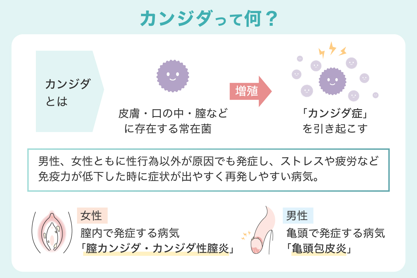 カンジダって何？