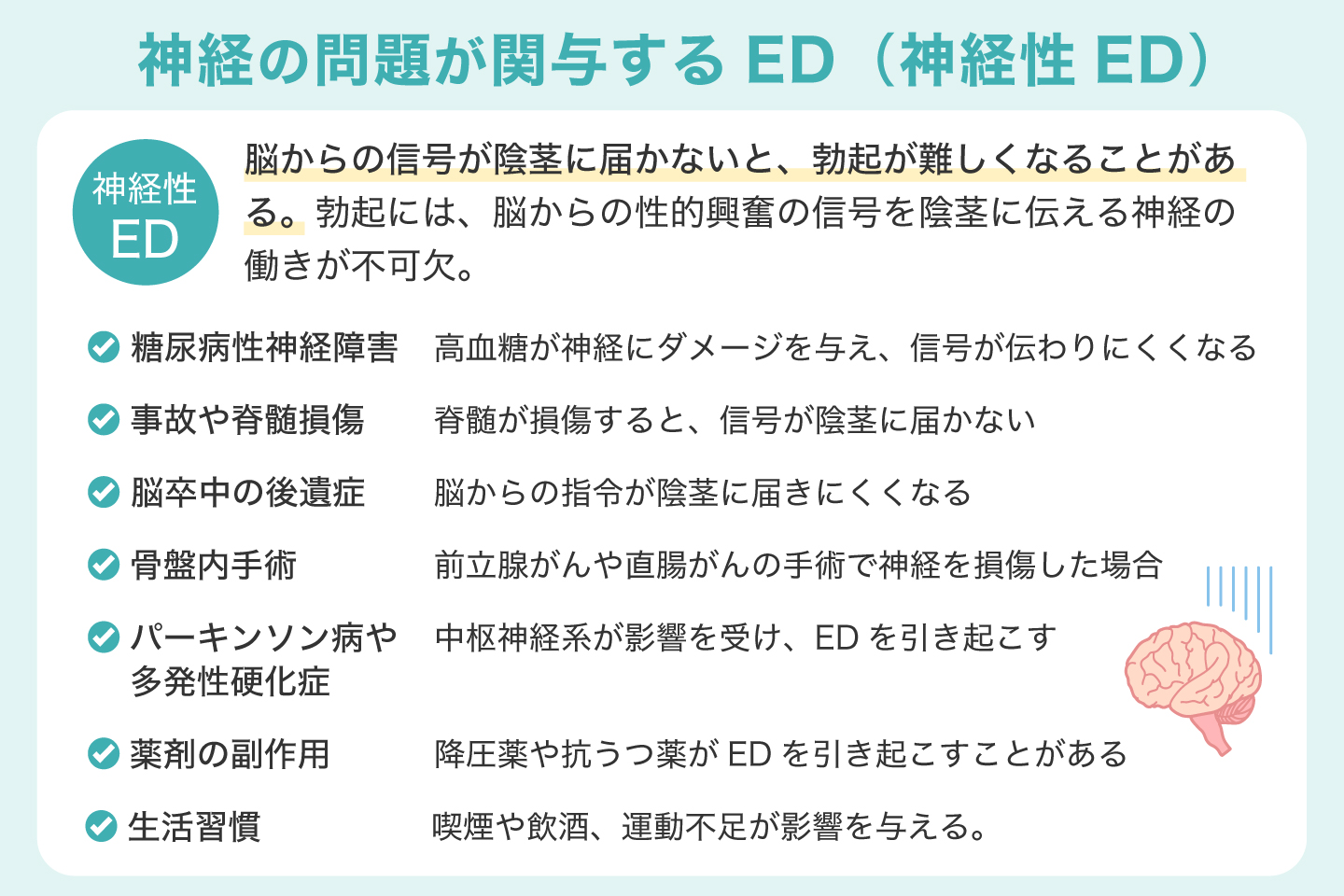 神経の問題が関与するED(神経性ED)