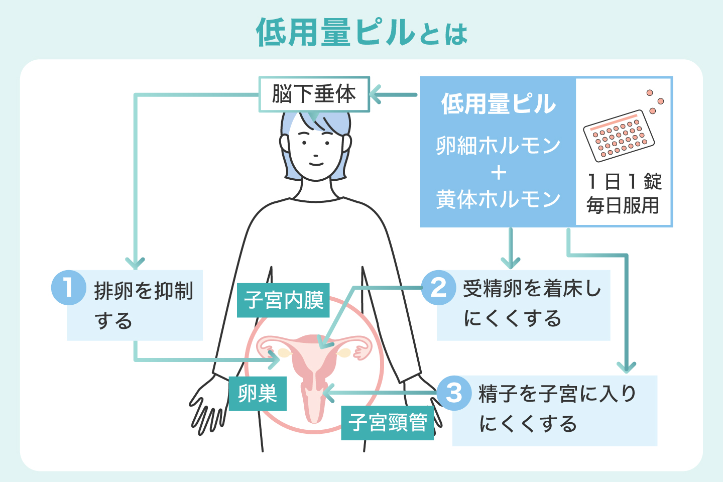 低用量ピルとは