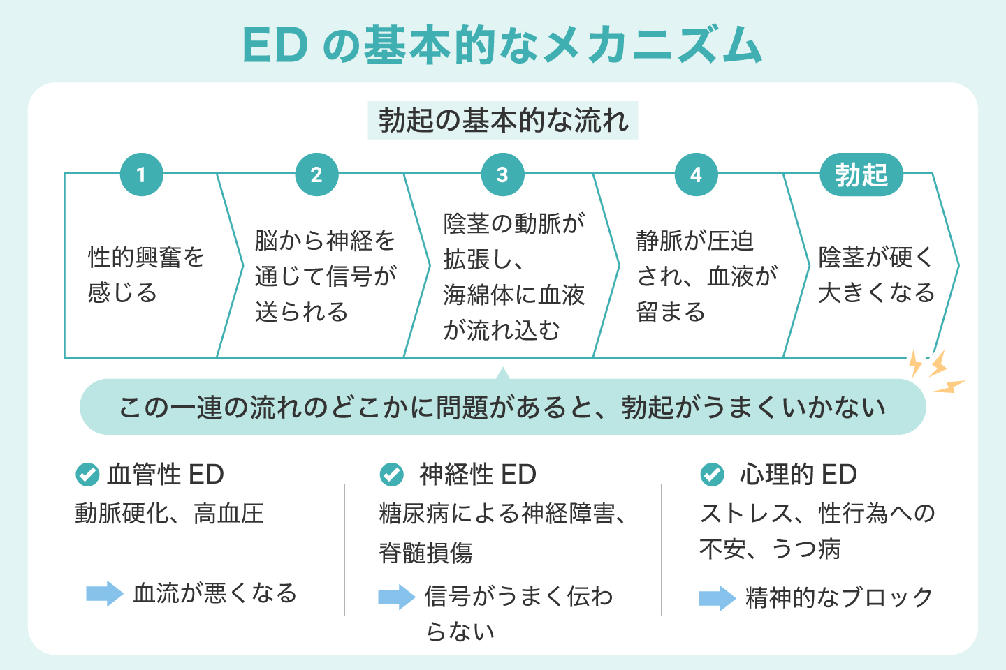 EDの基本的なメカニズム