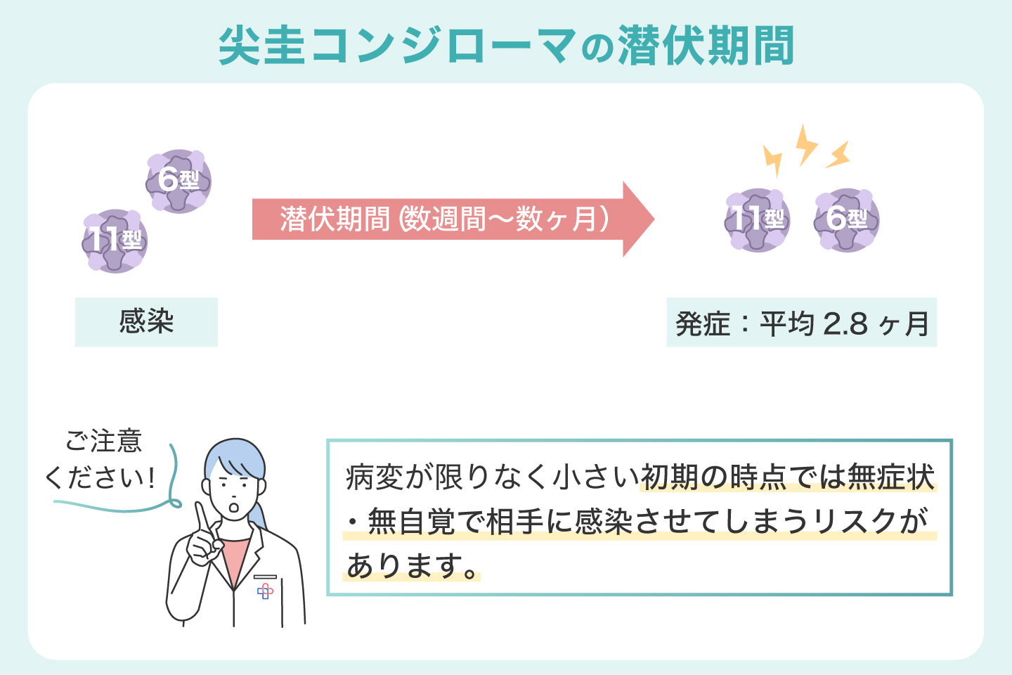 尖圭コンジローマの潜伏期間