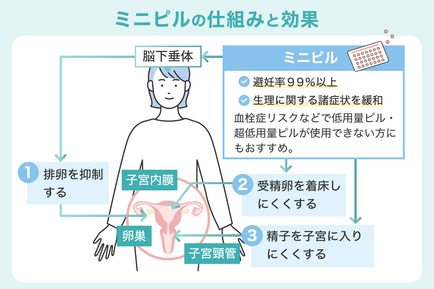 ミニピルの仕組みと効果