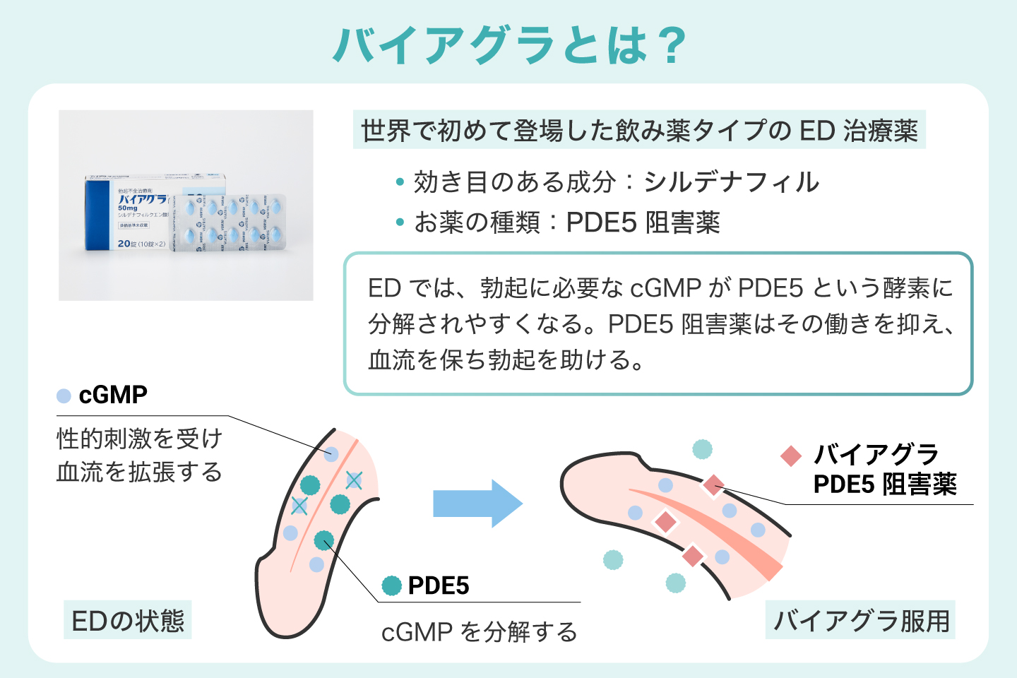 バイアグラとは？