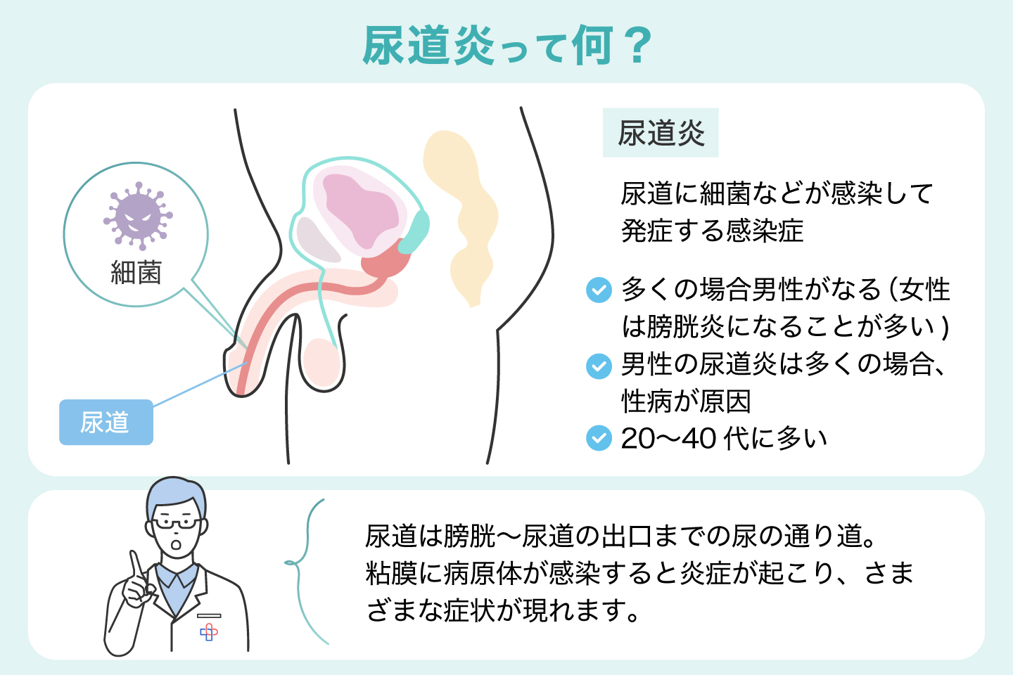 尿道炎とは