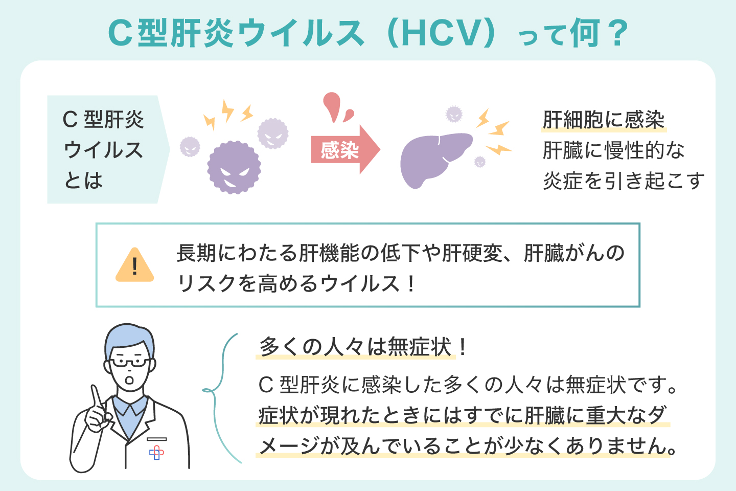 C型肝炎ウイルス(HCV)って何?
