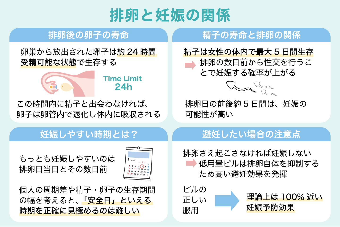 排卵と妊娠の関係