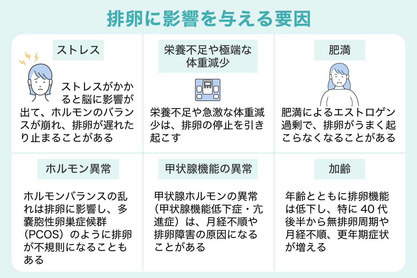 排卵に影響を与える要因