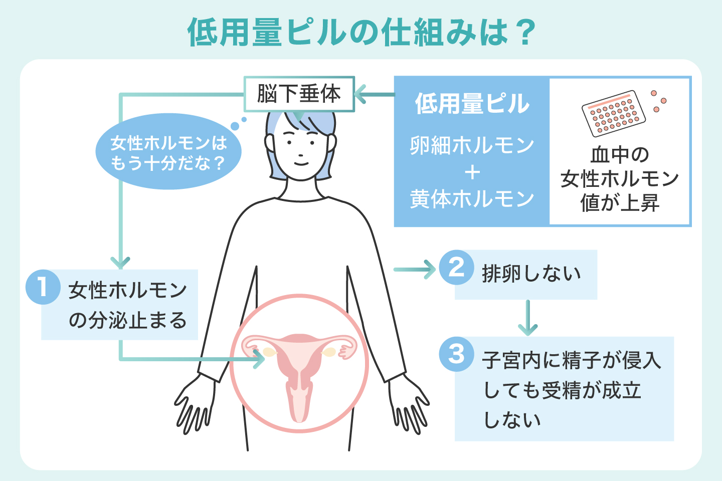 低用量ピルの仕組みは？