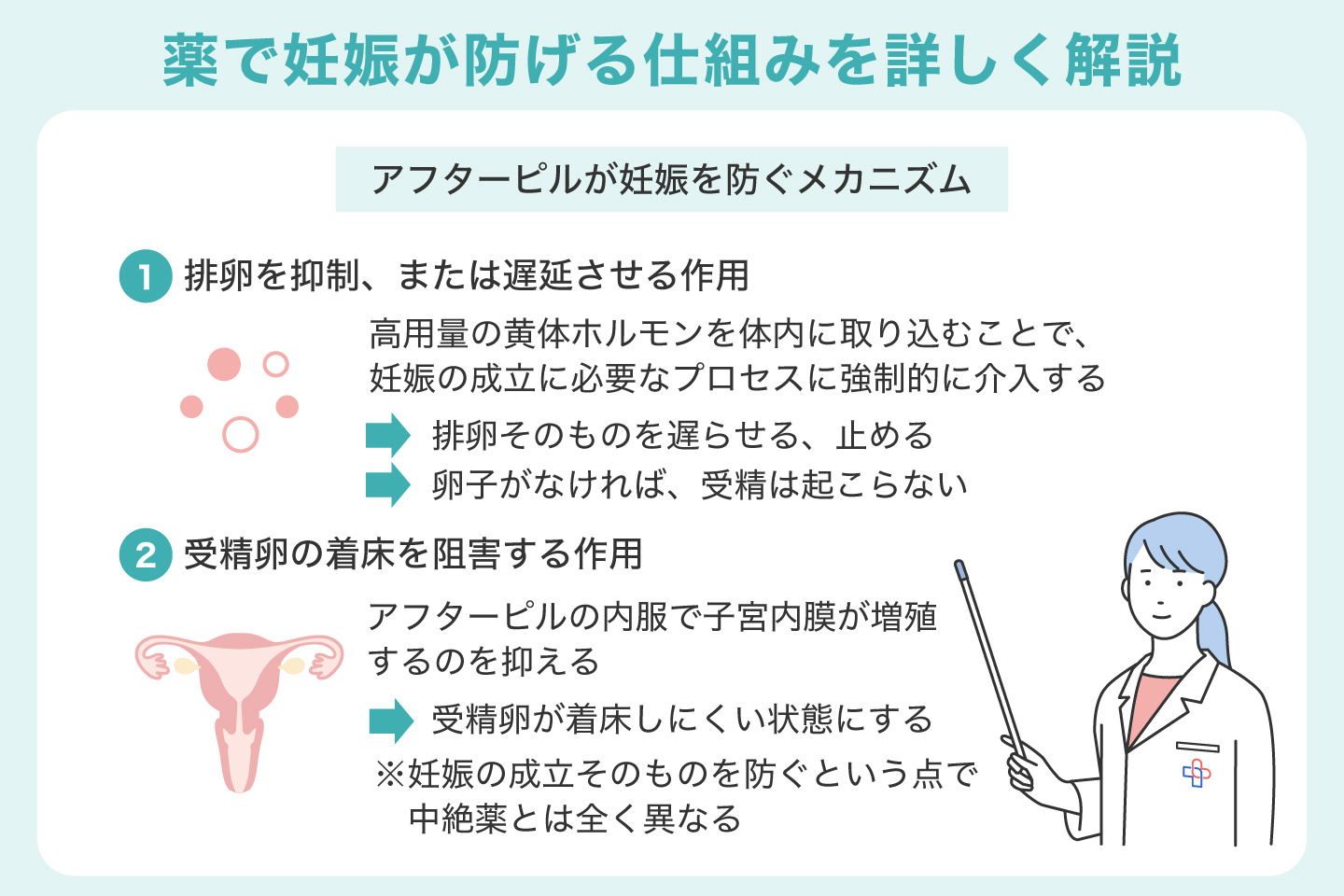 薬で妊娠が防げる仕組みを詳しく解説