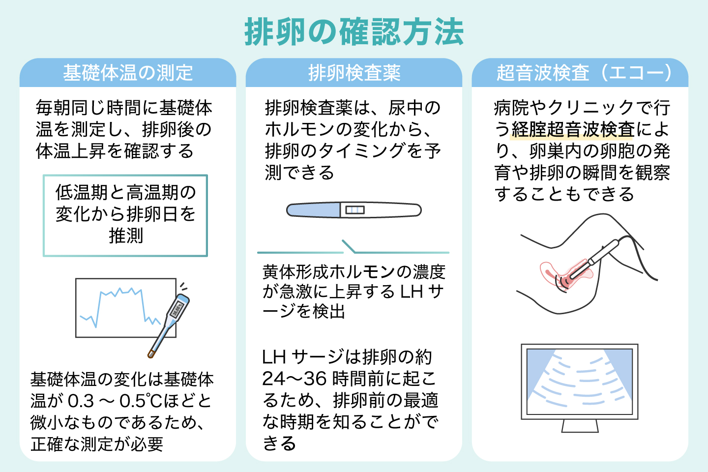 排卵の確認方法