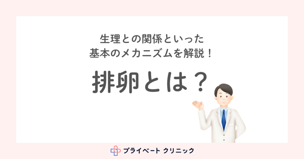 排卵とは？生理との関係といった基本のメカニズムを解説！