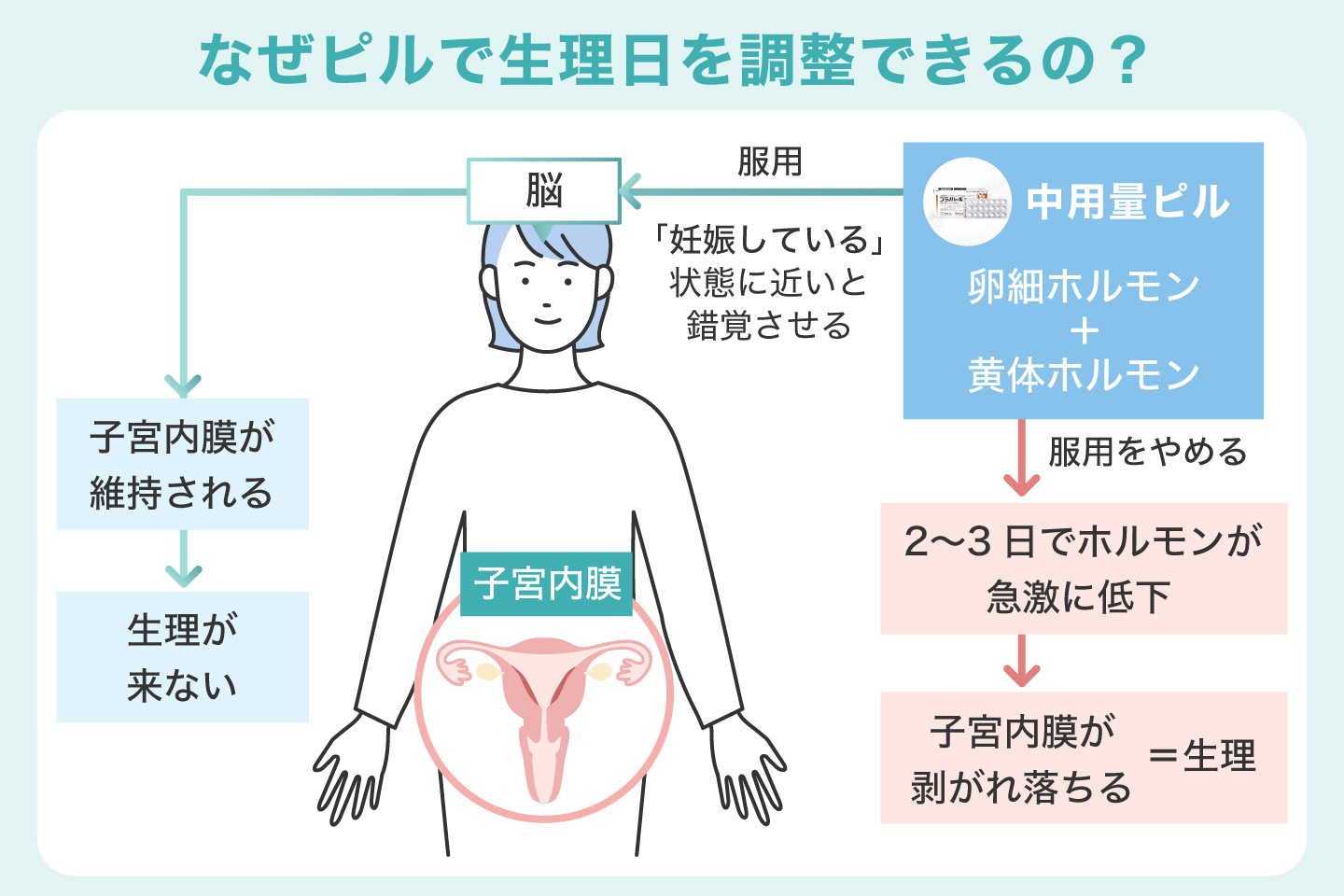 なぜピルで生理日を調整できるの？