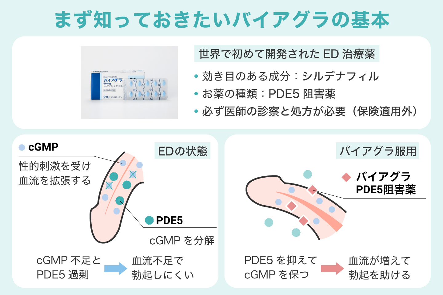 まず知っておきたいバイアグラの基本