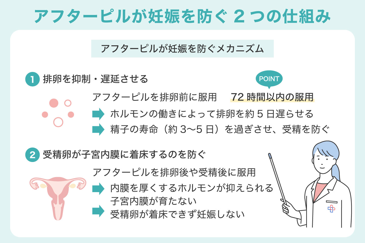 アフターピルが妊娠を防ぐ2つの仕組み
